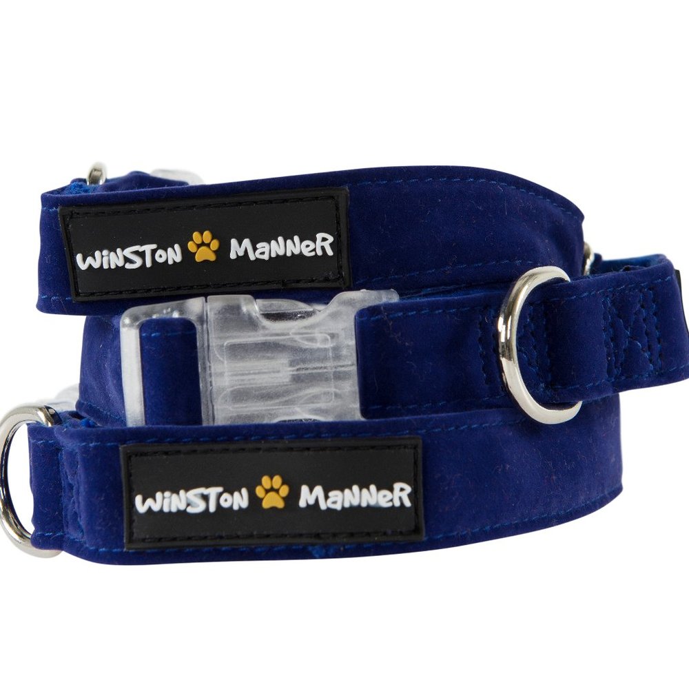 Winston Manner Designer Dog Collar in Royal Blue